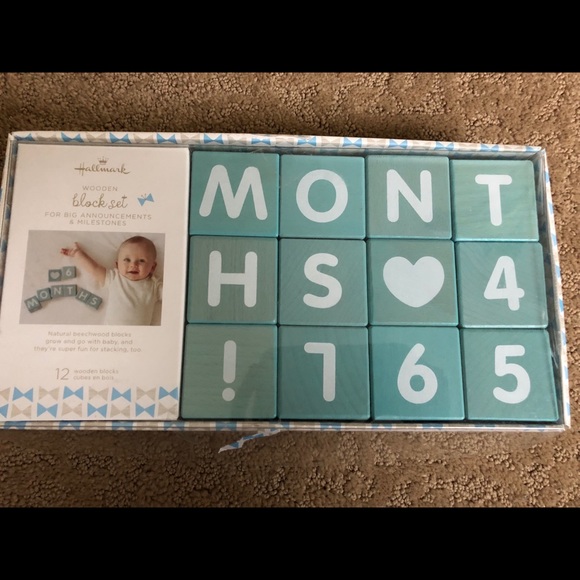 winnie the pooh milestone blocks